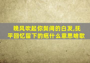 晚风吹起你鬓间的白发,抚平回忆留下的疤什么意思啥歌