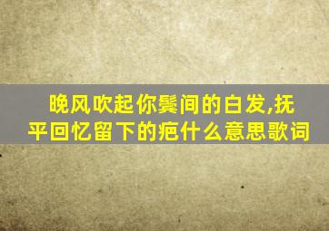 晚风吹起你鬓间的白发,抚平回忆留下的疤什么意思歌词