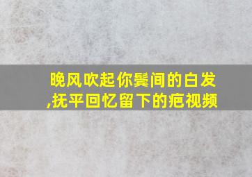 晚风吹起你鬓间的白发,抚平回忆留下的疤视频