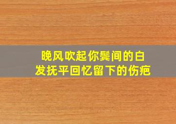 晚风吹起你鬓间的白发抚平回忆留下的伤疤