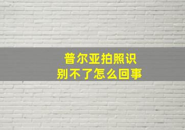 普尔亚拍照识别不了怎么回事