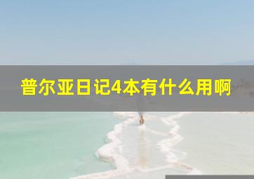 普尔亚日记4本有什么用啊