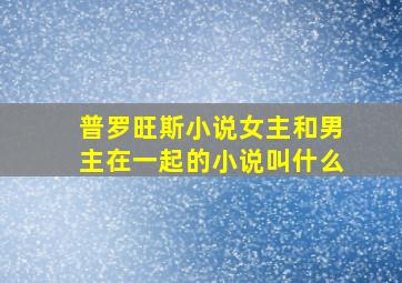 普罗旺斯小说女主和男主在一起的小说叫什么