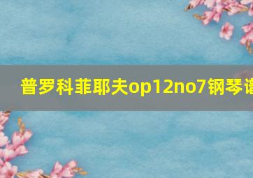 普罗科菲耶夫op12no7钢琴谱