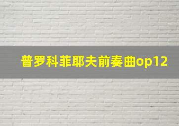 普罗科菲耶夫前奏曲op12