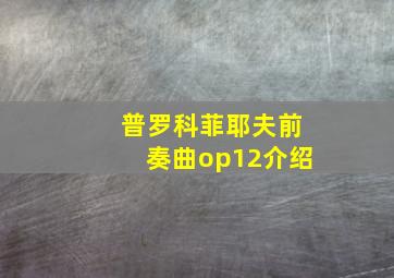 普罗科菲耶夫前奏曲op12介绍