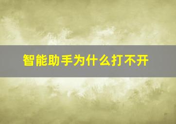 智能助手为什么打不开