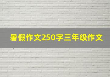 暑假作文250字三年级作文