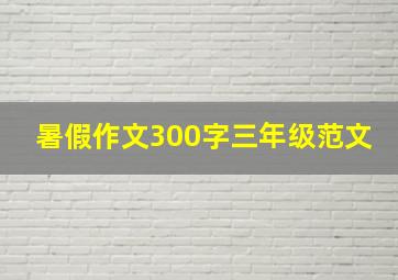 暑假作文300字三年级范文