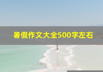 暑假作文大全500字左右