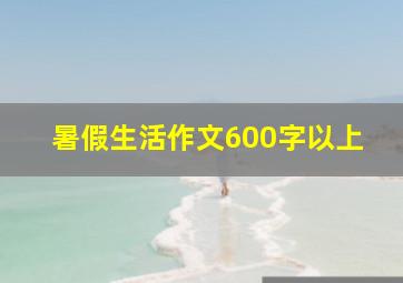 暑假生活作文600字以上