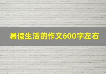 暑假生活的作文600字左右