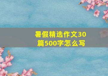 暑假精选作文30篇500字怎么写