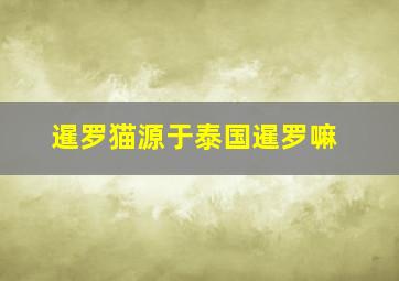 暹罗猫源于泰国暹罗嘛