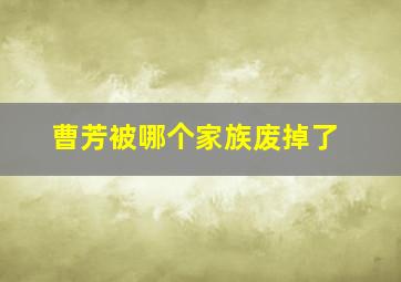 曹芳被哪个家族废掉了