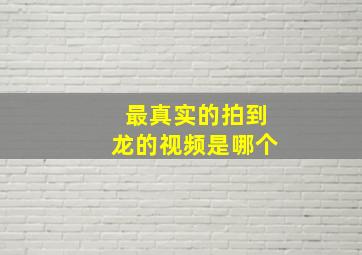 最真实的拍到龙的视频是哪个