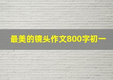 最美的镜头作文800字初一