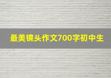 最美镜头作文700字初中生