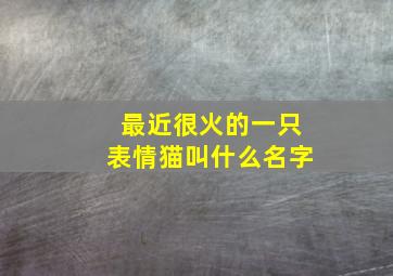 最近很火的一只表情猫叫什么名字