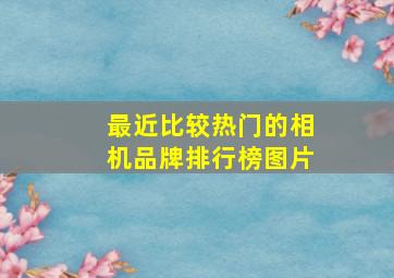 最近比较热门的相机品牌排行榜图片