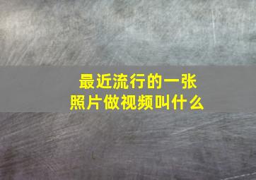 最近流行的一张照片做视频叫什么