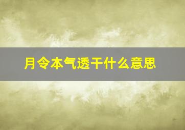 月令本气透干什么意思