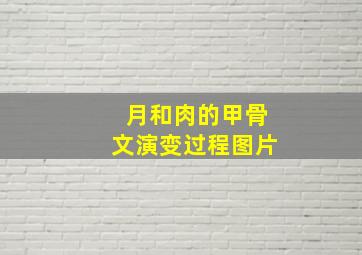 月和肉的甲骨文演变过程图片