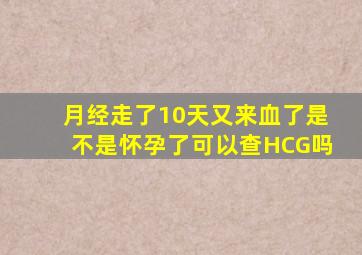 月经走了10天又来血了是不是怀孕了可以查HCG吗