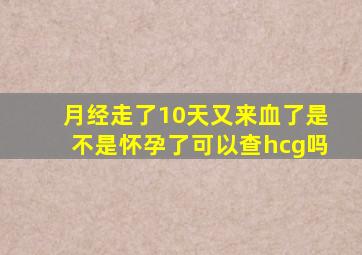 月经走了10天又来血了是不是怀孕了可以查hcg吗