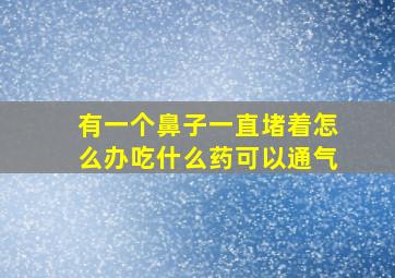 有一个鼻子一直堵着怎么办吃什么药可以通气