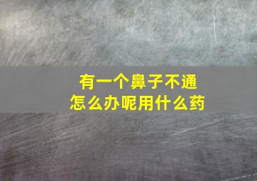 有一个鼻子不通怎么办呢用什么药