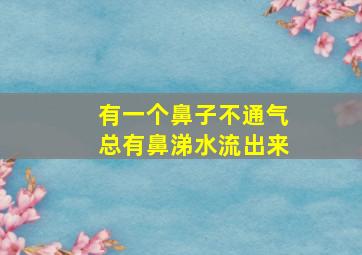 有一个鼻子不通气总有鼻涕水流出来