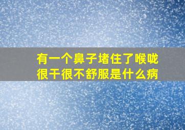 有一个鼻子堵住了喉咙很干很不舒服是什么病