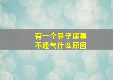 有一个鼻子堵塞不通气什么原因