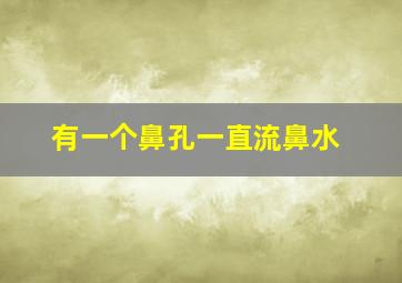 有一个鼻孔一直流鼻水