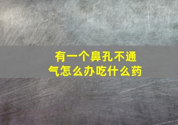 有一个鼻孔不通气怎么办吃什么药