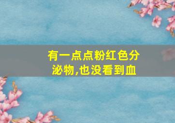 有一点点粉红色分泌物,也没看到血