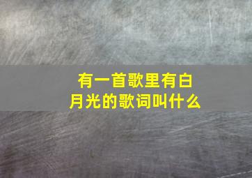 有一首歌里有白月光的歌词叫什么