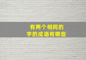 有两个相同的字的成语有哪些