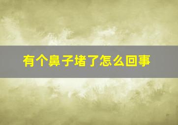 有个鼻子堵了怎么回事