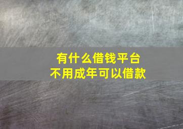 有什么借钱平台不用成年可以借款