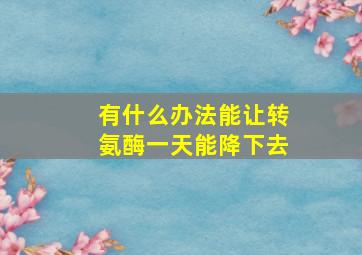 有什么办法能让转氨酶一天能降下去