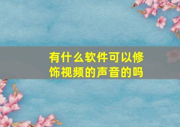 有什么软件可以修饰视频的声音的吗