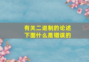 有关二进制的论述下面什么是错误的