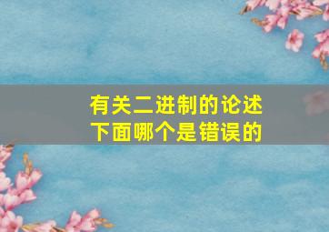 有关二进制的论述下面哪个是错误的