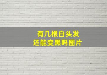 有几根白头发还能变黑吗图片