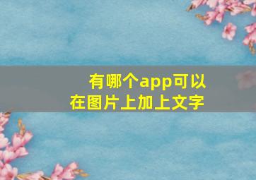 有哪个app可以在图片上加上文字