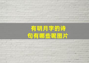 有明月字的诗句有哪些呢图片