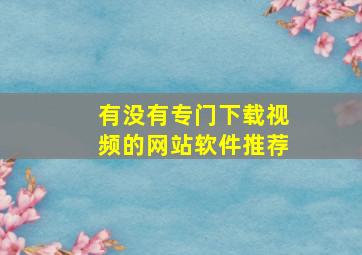 有没有专门下载视频的网站软件推荐