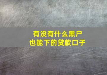 有没有什么黑户也能下的贷款口子